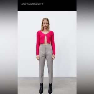 Zara High-Waisted Pant (Size L)